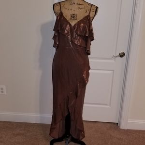 NWT Fashion Nova shimmery dress